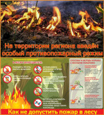 Основные причины лесных пожаров