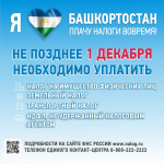 Заплати налоги не позднее 1 декабря!