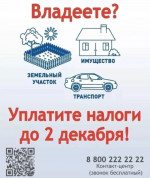 Уплатите налоги до 1 декабря