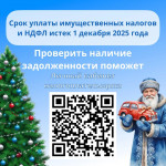 Экономь на транспортном налоге