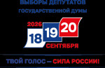 Выборы депутатов!