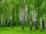 Отдыхая, не забывайте про безопасность