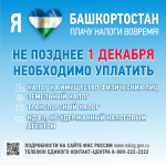 До 1 декабря необходимо заплатить имущественные налоги